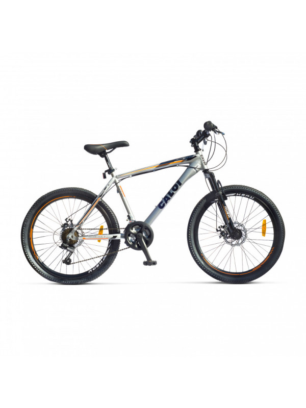 BICICLETA CALOI RIDER SPORT ARO 20 PLATA